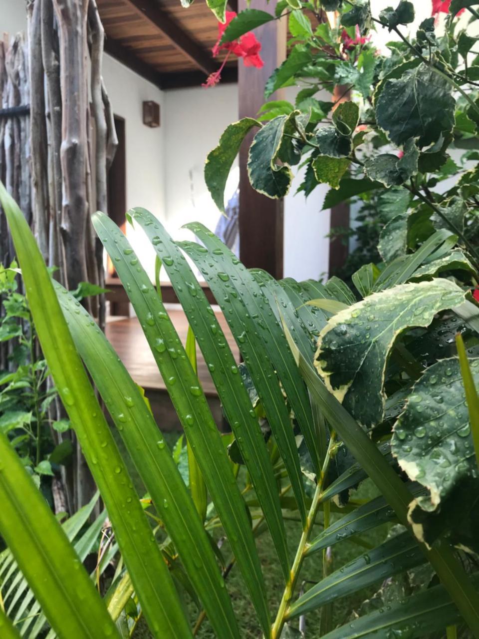 Toca do Caranguejo Pôrto de Pedras Exterior foto