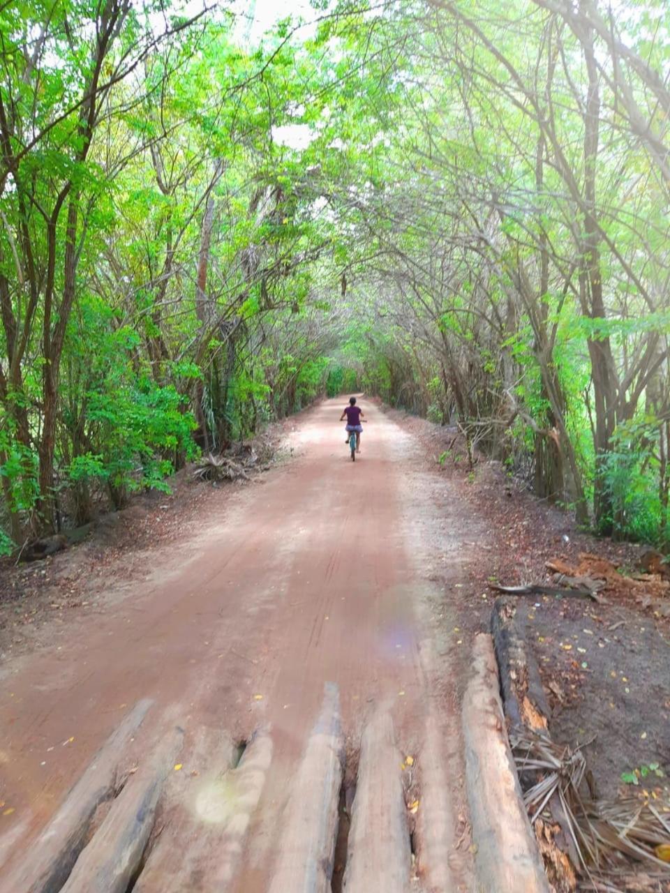 Toca do Caranguejo Pôrto de Pedras Exterior foto